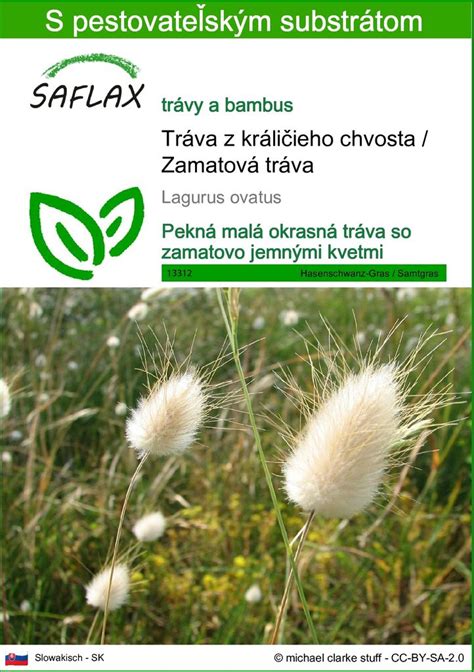Infografika správneho riedenia tekutého hnojiva z králičieho trusu
