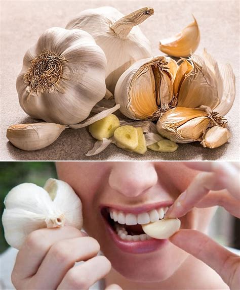 Foto osoby opatrne vykopávajúcej cesnak vidlami