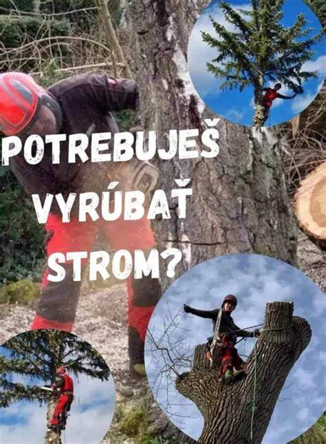 Ilustrácia znázorňujúca techniku môstkovania stromov