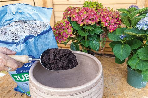 Ukážka použitia zeolitu ako drenážnej vrstvy alebo v kvetináči