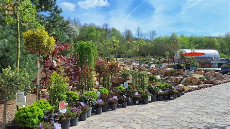 Ilustračná fotografia rôznych veľkých truhlíkov na terase s vysadenými rastlinami