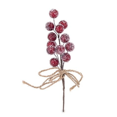 Vetvička Dráča obyčajného s jasne červenými bobuľami