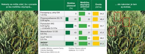 Vizualizácia optimálnej rastovej fázy burín pre aplikáciu herbicídu