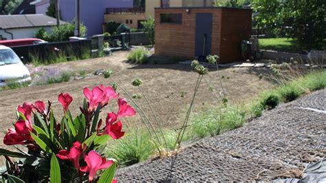 Fotografia profesionálne udržiavanej okrasnej záhrady s trávnikom a závlahovým systémom