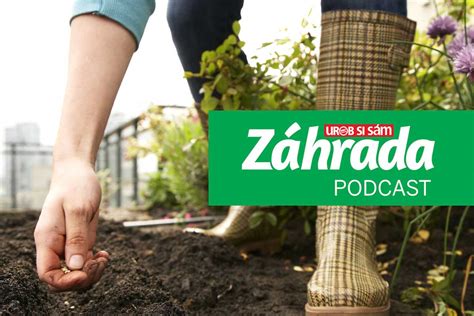 Ilustrácia znázorňujúca správne načasovanie hnojenia pre rôzne druhy zeleniny počas vegetačného obdobia.