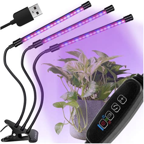 Schéma: Optimálne osvetlenie rastlín v interiéri