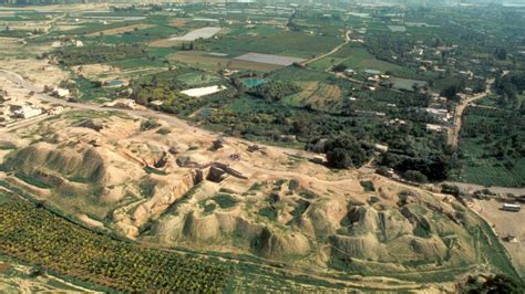 ilustrácia historického mesta Jericho s hustými korunami sykomôr (planých figovníkov) a zástupom ľudí