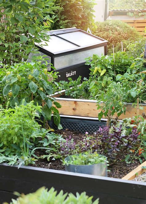 DIY pestovateľský box zo starej nádoby s vyznačenými drenážnymi otvormi