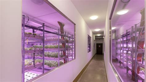 Ilustračné foto modernej indoor farmy s LED osvetlením