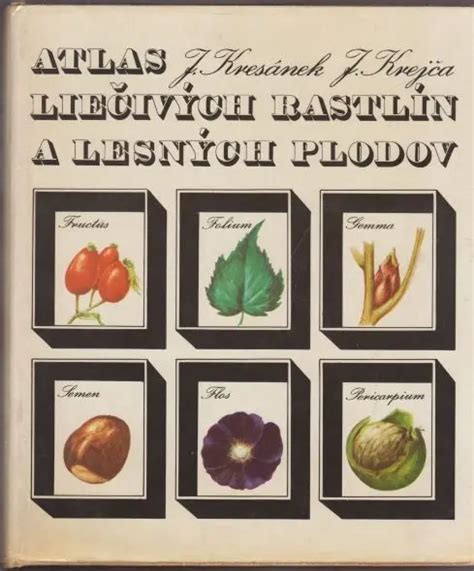 Ilustračná fotografia rôznych druhov lesných plodov a tradičných slovenských produktov