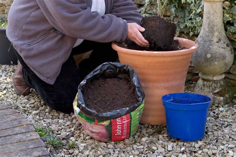Návod krok za krokom na výrobu DIY kvetináča na pestovanie hore nohami