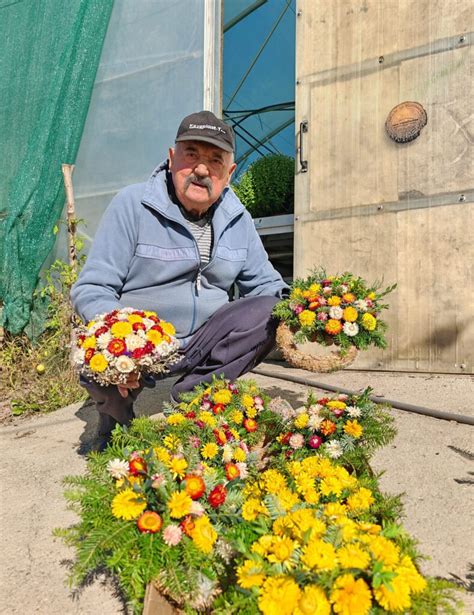 Fotografia prírodných vencov a chryzantém v črepníkoch