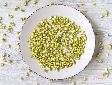 Suroviny na tanieri: čerstvé morčacie mäso, mungo klíčky a čerstvá zelenina