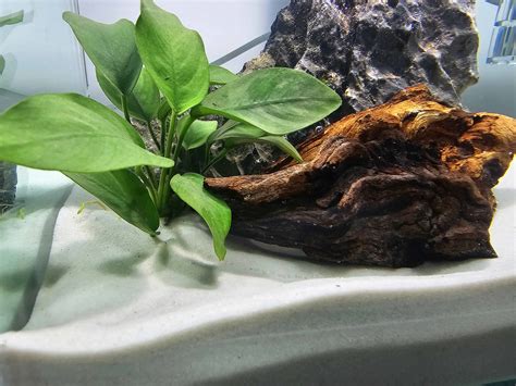 koláž rôznych typov akváriových substrátov (piesok, štrk, ílový substrát)