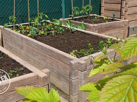 Vyvýšený záhon so zeleninou.