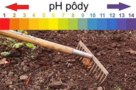 infografika o zložení a pH pôdy pre uhorky