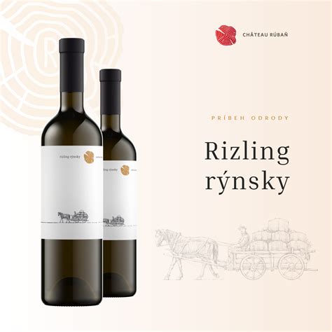 Detail listu a strapca Rizlingu rýnskeho