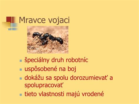 schéma kást mravcov v kolónii