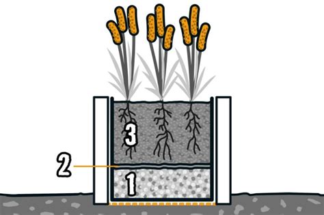 Schéma: Správne vysádzanie rododendronu s vrstvami substrátu a drenáže