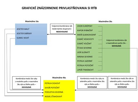 Grafické znázornenie rezu podľa typu výhonov (staré vs. nové drevo)