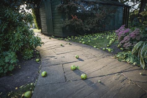 Ilustračná fotografia rôznych druhov kamennej kôry v záhrade