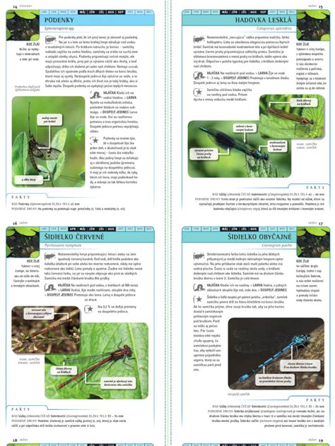Ukážka solitéru v záhrade s okolitou výsadbou