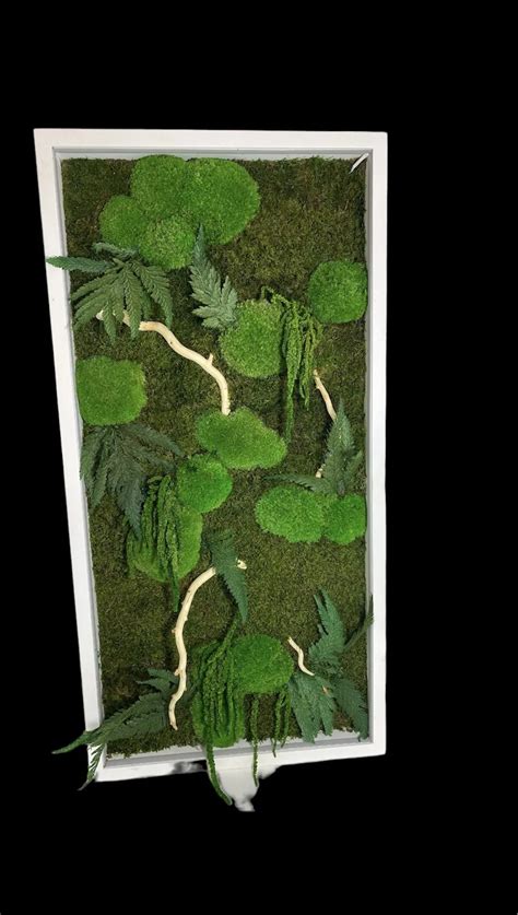 Tematické foto: Interiér pestovateľského boxu s rastlinami a osvetlením