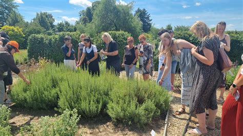 Tematické foto vavrínovca lekárskeho v záhrade