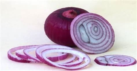 Tematické foto: červená cibuľa na poli