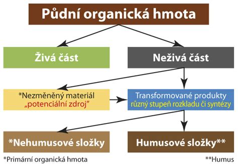 Schéma vrstvenia vyvýšeného záhona: drenáž, organická hmota, kompost a kvalitná pôda