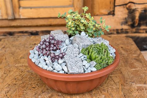 ukážka kompozície skalničiek v keramickej nádobe