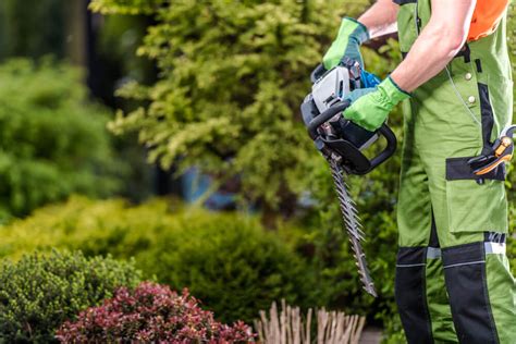 fotografia tímu záhradníkov vykonávajúcich údržbu zelene