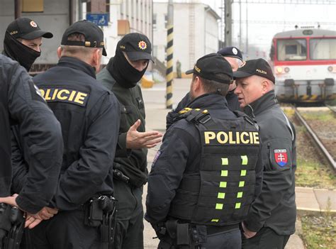 Detailná schéma anatómie sumca západného so zobrazením hmatových fúzov a charakteristickej análnej plutvy