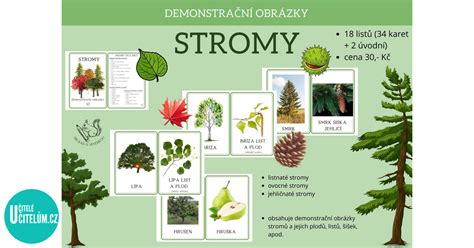 Infografika znázorňujúca hniezdo sumca s nakladenými ikrami medzi koreňmi stromov