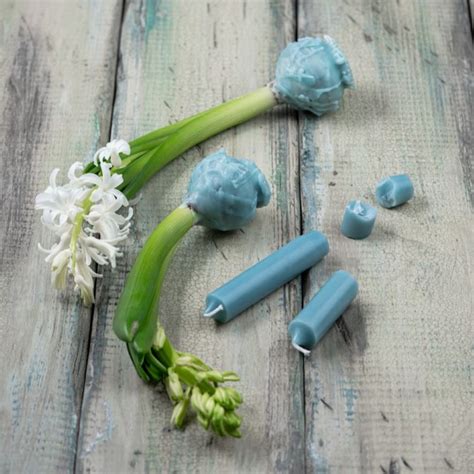 Hyacinty pestované vo špeciálnych vázach s vodou