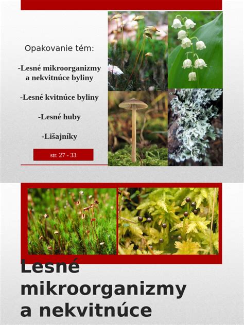 Koláž kultivarov hlohu: kvitnúce, plodové, s rôznym habitusom