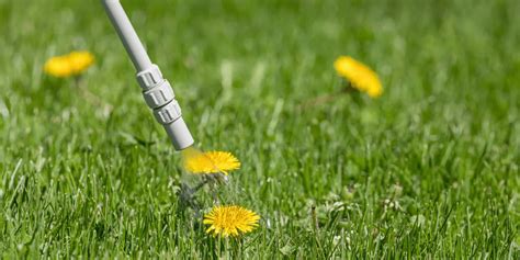 Príprava pôdy pre trávnik (kultivácia, odstraňovanie buriny)