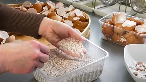 Schéma prípravy vaječných škrupín od umytia až po jemné mletie na prášok