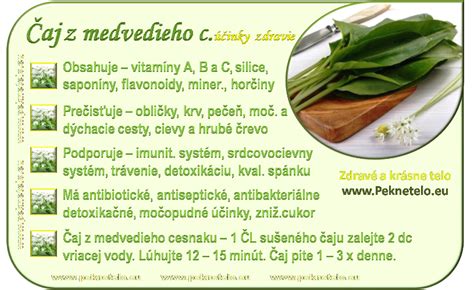 Infografika znázorňujúca fázy rastu medvedieho cesnaku od prvých listov po kvet