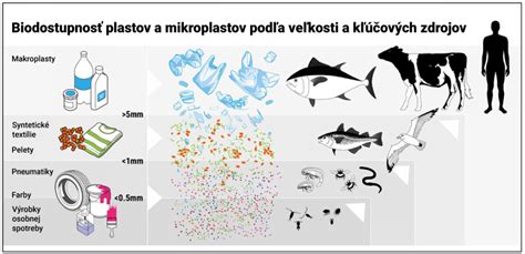 Infografika porovnávajúca rôzne modely drvičov podľa kľúčových parametrov ako príkon, max. priemer, objem nádoby a hmotnosť