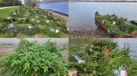 Schéma prirodzeného neresu lipňa v štrkovom dne