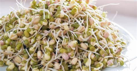 Deti pri klíčení fazule mungo v kuchyni.