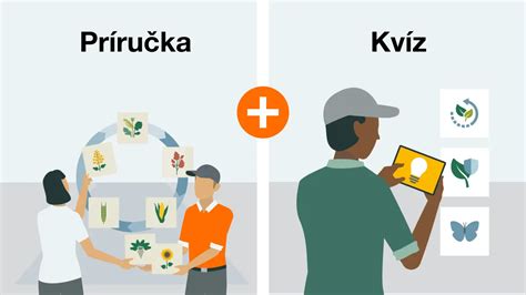 Ilustrácia striedania plodín v úzkych riadkoch so severo-južnou orientáciou
