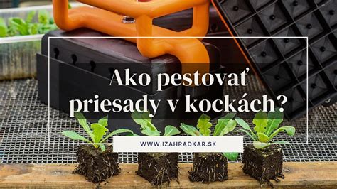 fotografia: LED lampy na predpestovanie priesad