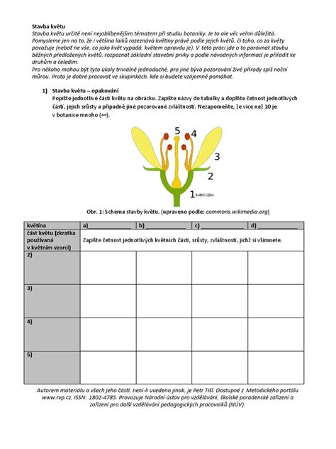 Detailná fotografia kvetu hluchavky bielej v prirodzenom prostredí