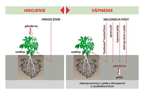 Schéma chemickej premeny dusíkatého vápna v pôde a jeho účinok