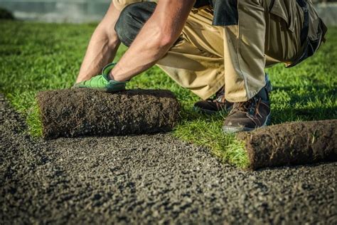 Schéma porovnania klasického trávnika a kvetinovej lúky z hľadiska náročnosti na údržbu