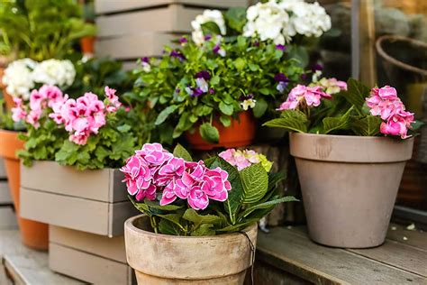 Terakotové kvetináče rôznych tvarov a veľkostí na balkóne