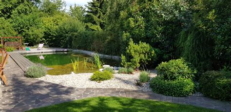 Ilustrácia záhrady s rôznymi rastlinami pestovanými zmiešanou kultúrou