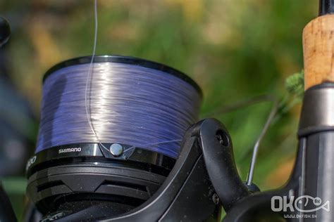 Schéma fixácie machu na koreň pomocou rybárskeho vlasca